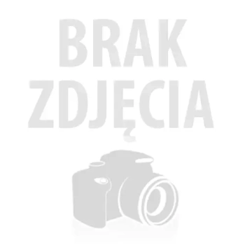 Soplówka Jeżowata Lion's Mane 90 Kapsułek po 500mg
