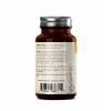 Grzyby Reishi (Lakownica Zółtawa) 120 Kapsułek po 700mg