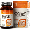 Boswellia Serrata (Kadzidłowiec) 120 kapsułek po 2000mg - Rise Supplements