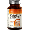Boswellia Serrata (Kadzidłowiec) 120 kapsułek po 2000mg - Rise Supplements