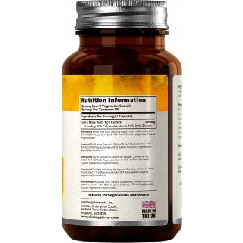 Soplówka Jeżowata Lion's Mane 90 Kapsułek po 1000mg